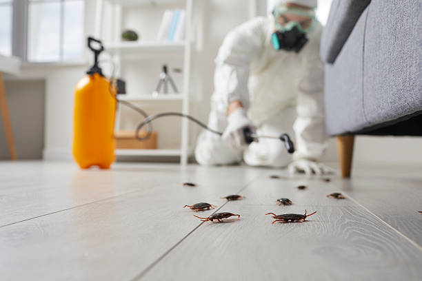 Trusted Cockroach Control service in Glen Rock, PA - Nex Pest Control