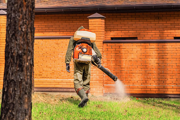 Trusted Ant Control service in Glen Rock, PA - Nex Pest Control